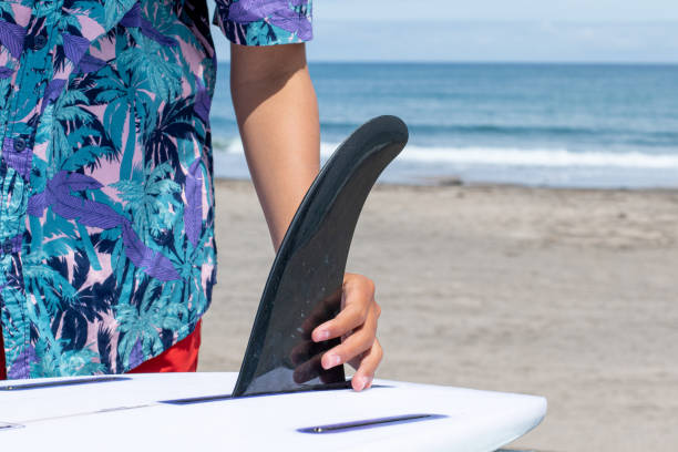 How do you choose the right Surfboard for beginners?